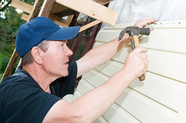 Best Composite Siding  in Sterling Heights, MI