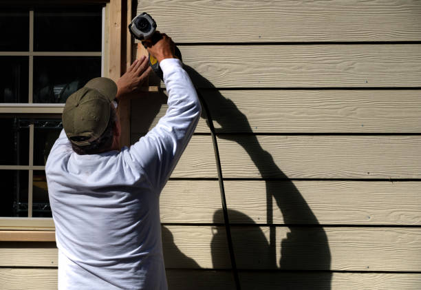 Best Siding Removal and Disposal  in Sterling Heights, MI