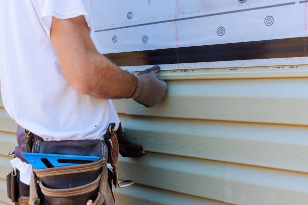 Affordable Siding Repair and Maintenance Services in Sterling Heights, MI